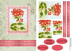 Birthday Flowers with Lace