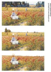 Poppyfields in 3 Layers