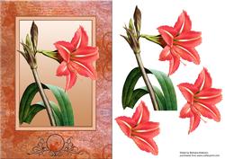 A Peach of a Flower