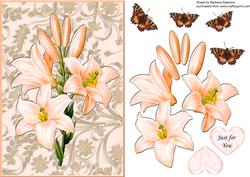 Peach Lily Card Fromt