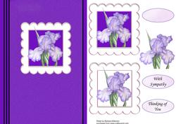 Iris Sympathy Card