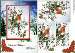 From Our House to Yours Robin