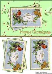 Snowy Robin Scene