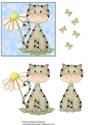 Daisy the Cat