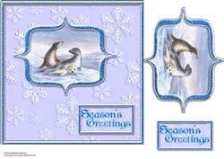 Seals on Ice