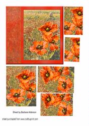 Poppy Field