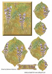 Wisteria