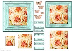 Peach Rose Square