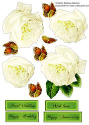 White Rose