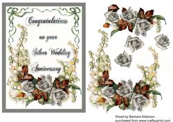 Silver Wedding Anniversary