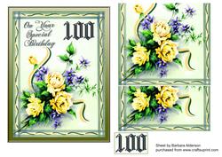 Special Birthday 100(p)