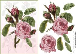 A 3D Rose for You