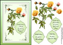 Golden Rose Frame