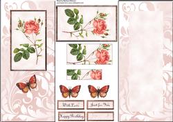 All in One Dl Redoute Rose and Butterfly