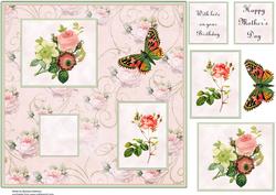 Redoute Roses with Butterfly