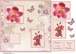 Orchids and Butterflies