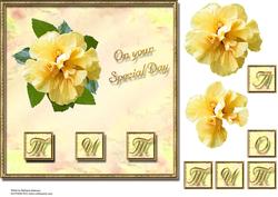 Yellow Flower Mum/mam/mom