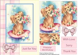 Yorkie, Just for You