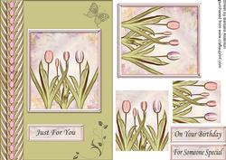 Tulip Border