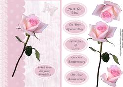 A Single Stem Pink Rose