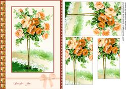Peach Standard Rose