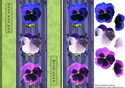 A Trio of Pansies - Purple