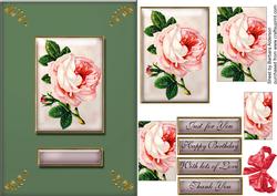 Pink Rose with Optional Bow