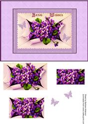 Violets from the Envelope