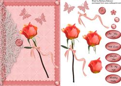 Single Peach Rose and Lace
