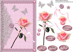 Single Pink Rose and Lace