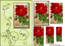 Framed Red Rose with Flourish in Green