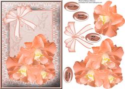 Lace Frame with Peach Flowers