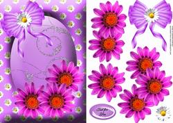 In the Pink Daisies
