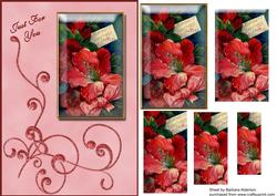 Framed Flowers with Flourish in Coral