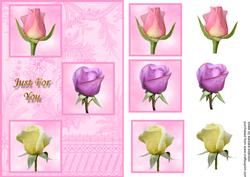 3 Rose Buds for You on Pink