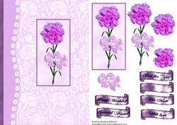 A Single Pink Carnation