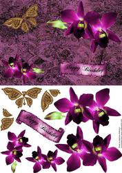 Golden Butterfly and Orchids on Pink