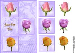3 Rose Buds for You on Lilac