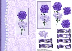 A Simple Purple Carnation