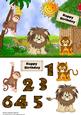 On Safari with the Lion