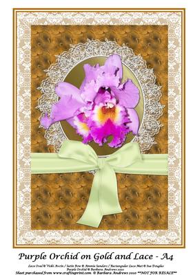 Purple Orchid on Gold and Lace