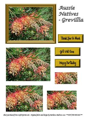 Aussie Natives - Grevillia Pyramid Topper