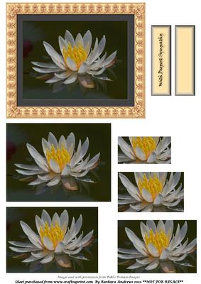 Waterlily Pyramid Topper - Sympathy