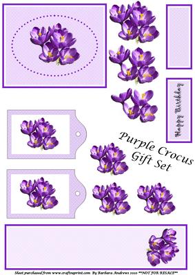 Purple Crocus Gift Set