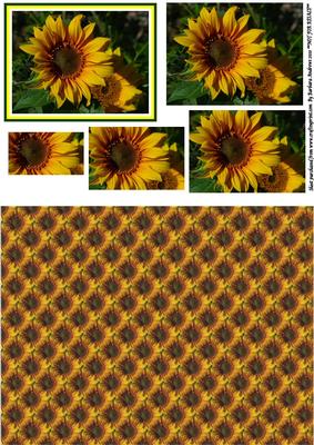 Bright Sunflower Pyramid with Backing Paper