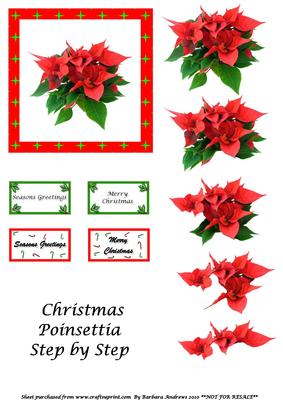Christmas Poinsettia - Step by Step