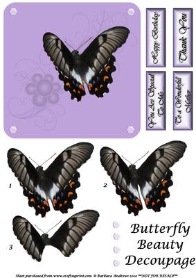 Butterfly Beauty Decoupage