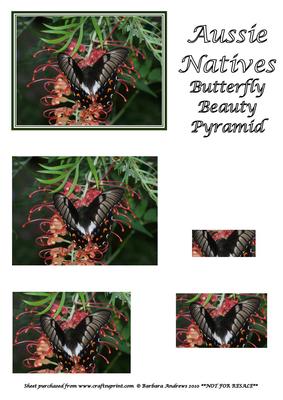 Aussie Natives - Butterfly Beauty Pyramid