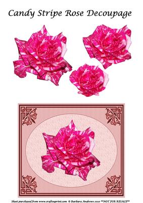 Candy Stripe Rose Decoupage