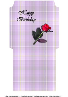 Cd/dvd Sleeve - Female Birthday 1